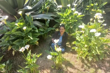 Alba Dolores Carrasquedo Zárate presenta MENO&ANDRO, una historia realista sobre las turbulencias emocionales y afectivas en la vida en pareja