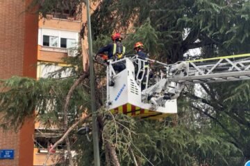 La tormenta del martes deja en Madrid varios heridos leves y una persona ingresada en el hospital por la caída de árboles y ramas