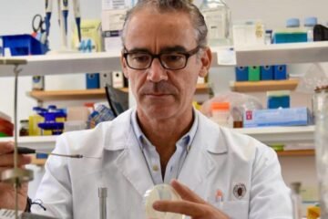 Los científicos españoles que investigan el gen que hace casi incurables a las superbacterias: «Es una emergencia mundial»