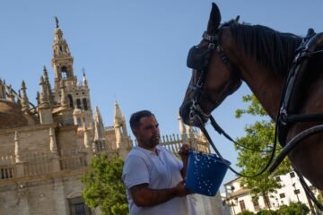 El tiempo del fin de semana: remite el calor intenso, salvo en el Mediterráneo