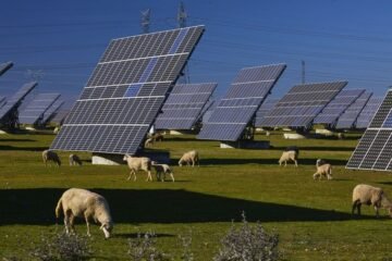 Cuando España supo elegir: por qué el RDL ‘antiapagones’ consolida nuestro liderazgo energético