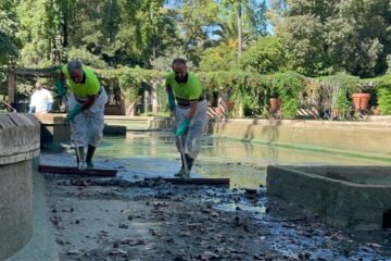 Málaga cierra un parque y Sevilla otros dos más por la muerte de aves ante la sospecha de gripe aviar