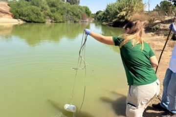 La Junta andaluza supervisará a quienes tuvieron contacto con los gansos del parque de Sevilla que murieron por un brote de gripe aviar