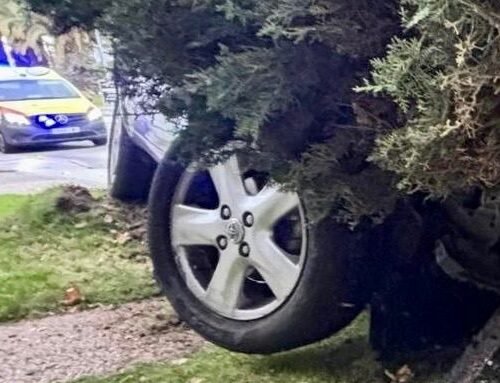 Grave un hombre de 70 años atropellado en Las Rozas