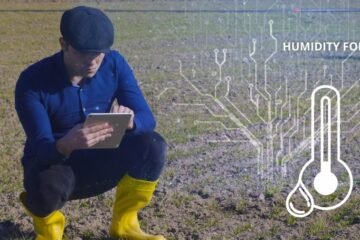 Gemelos digitales, los ‘capataces de futuro’ de la gestión eficiente del campo