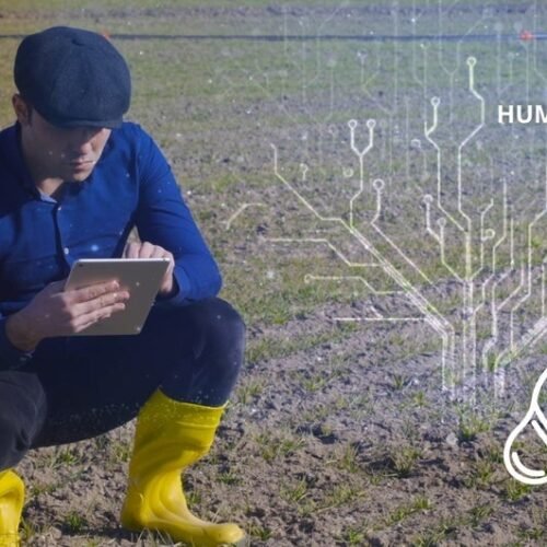 Gemelos digitales, los ‘capataces de futuro’ de la gestión eficiente del campo