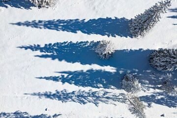 Lo bajan del bus por no llevar el billete adecuado: un niño de 11 años recorre 6 kilómetros bajo la nieve para volver a casa