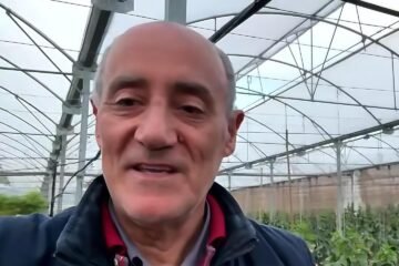 Álvaro, agricultor con 30 años en el sector: «Mi cultivo de pepinos no levanta cabeza, deberían estar el doble de altos»