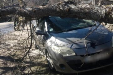 Oriana golpea Zamora: los bomberos del Consorcio encadenan salidas por el viento y los árboles caídos