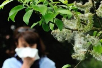 Malas noticias si eres alérgico: la temporada de polen dura ya 100 días más que hace 25 años con el viento como factor clave