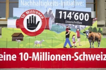 Suiza endurece las normas: quiere revisar las políticas migratorias para limitar la llegada de inmigrantes