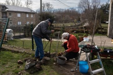 Sanabria se une para gestionar el monte contra el fuego: “El bosque nos come”
