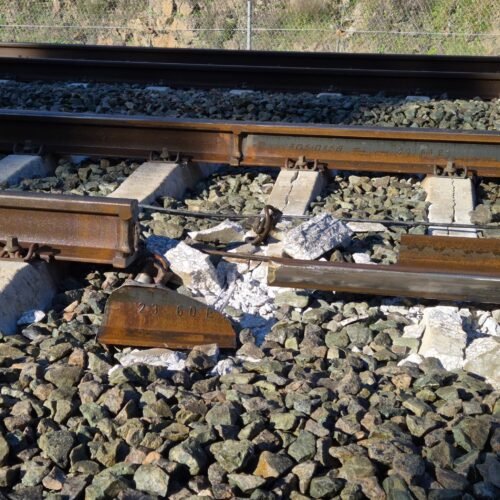 La jueza del siniestro de Adamuz quiere tener en tres días los nombres y el presupuesto de los peritos independientes