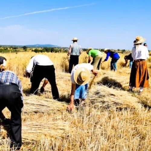 Aranceles, misiles y chatos de vino