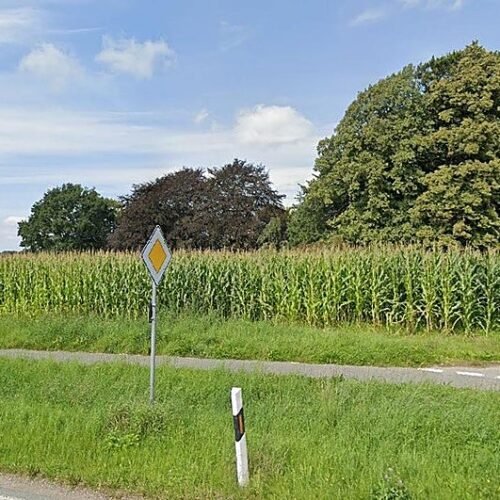 Mueren tres personas tras caerles encima un árbol durante una búsqueda de huevos de Pascua en Alemania