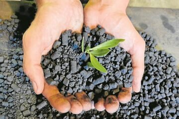 El ‘carbón bueno’ comienza a materializar su potencial