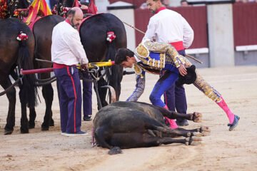 Gloriosa oda al toro ‘Cantaor’: la excelencia de Victoriano del Río se cita, otra vez, con Las Ventas