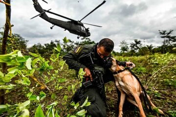 Cocaína, la guerra que Colombia no logra ganar