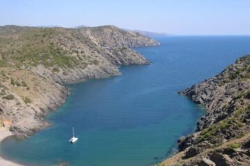 Dos ballenas de grandes dimensiones sorprenden a los vecinos del Port de la Selva (Girona)
