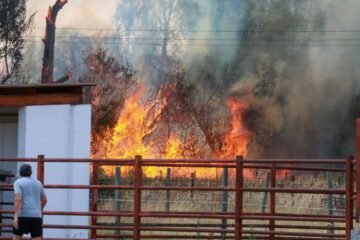 Un voraz incendio de nivel 2 amenaza varias viviendas y fincas de Navatejera, a escasos kilómetros de León capital