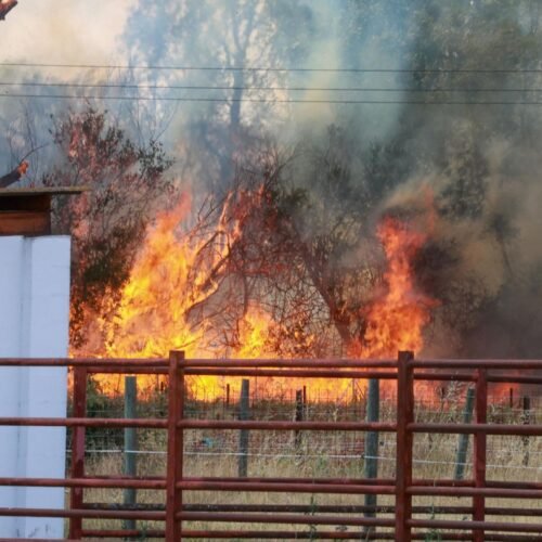 Un voraz incendio de nivel 2 amenaza varias viviendas y fincas de Navatejera, a escasos kilómetros de León capital