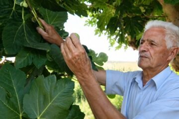 Manuel, 83 años, agricultor: «Siempre he tenido parcela y me ha gustado. Desde que me jubilé, estoy pegado al campo»