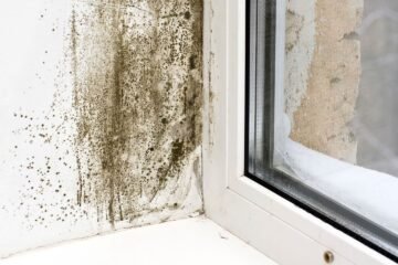Los arquitectos coinciden: «La solución para las humedades en casa no está en cambiar la ventana»