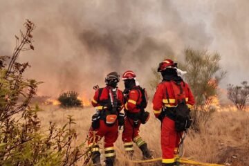 Ingresa en prisión el autor de al menos tres incendios forestales en Ponferrada: llevaba encima cuatro mecheros