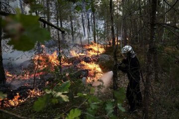 «Controlado» el incendio en Fontainebleau, después de calcinar más de 2.000 hectáreas al sur de París