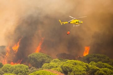 Los incendios de Madrid, Ávila y Toledo obligan a evacuar o confinar a más de 90.000 personas: “Es una situación endemoniada”