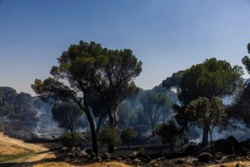 Última hora de los incendios forestales, en directo