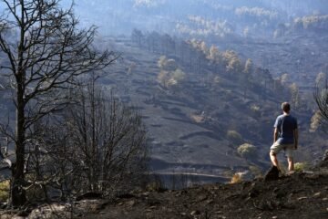Los incendios forestales – 28 de julio de 2026 | Marlaska anuncia que en las últimas 24 horas “no ha habido ningún avance del fuego” en el incendio de Ávila y Madrid