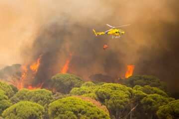 Los incendios de Madrid, Ávila y Toledo afectan ya a 77.000 hectáreas y obligan a evacuar o confinar a 90.000 personas