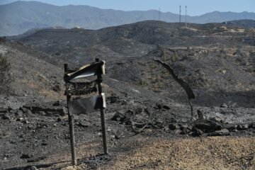 Incendios forestales del 14 de julio de 2026 | El Gobierno sitúa el incendio de Los Gallardos entre los tres más graves de la historia de España