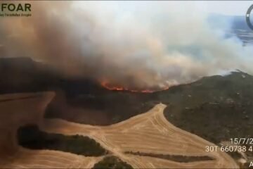 Últimas noticias de los incendios forestales, en directo | Aragón ordena evacuar dos localidades por el incendio que ha obligado a pedir la UME