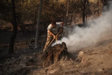 Última hora de los incendios forestales, en directo | El ministro del Interior da por estabilizado el incendio en Madrid y levanta varias evacuaciones