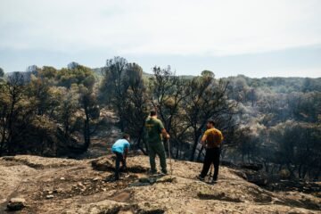 Carrera contra el fuego en Ávila y Madrid: los vecinos de 13 municipios vuelven a sus casas horas antes de la ola de calor