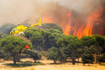 Última hora de los incendios forestales, en directo | Marlaska: “Estamos enfrentando el incendio más importante y agresivo de la historia de España”
