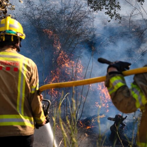El incendio forestal que quema Les Gavarres, en imágenes
