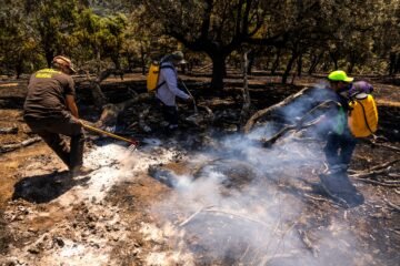 Dentro de una brigada de extinción: “Los bomberos no dan abasto, esta noche ha habido tres nuevos fuegos”