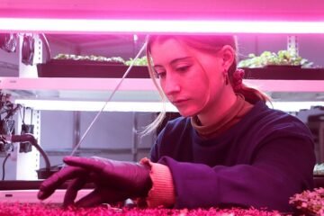 El nicho de los microvegetales busca su estirón definitivo con la conquista de los hogares
