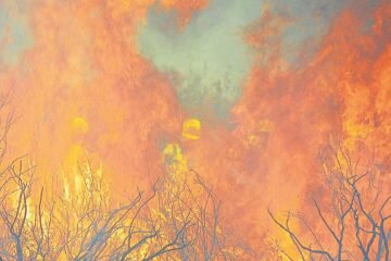 La solución al infierno en la tierra de los incendios está en los cielos
