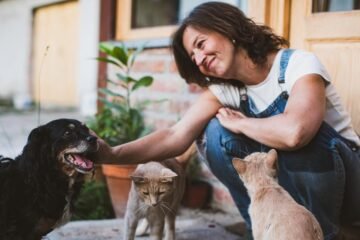 Confirmado por la ley: el casero puede permitir tener mascotas cuando el inquilino cumpla estas dos normas