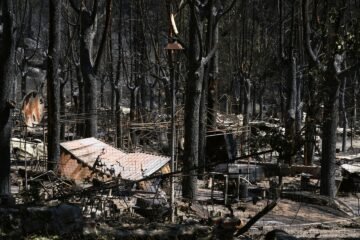 Satélites e inteligencia artificial para frenar los incendios antes de que ardan los montes de Castilla y León