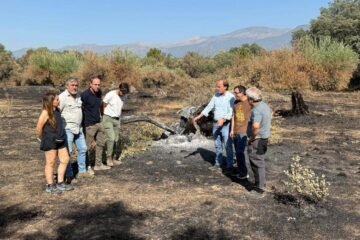 Del alimento para el ganado a la reconstrucción de vallados: el plan de la Junta tras el incendio en Ávila