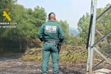 Una mujer de 57 años, en prisión por provocar un incendio forestal que arrasó dos hectáreas en León