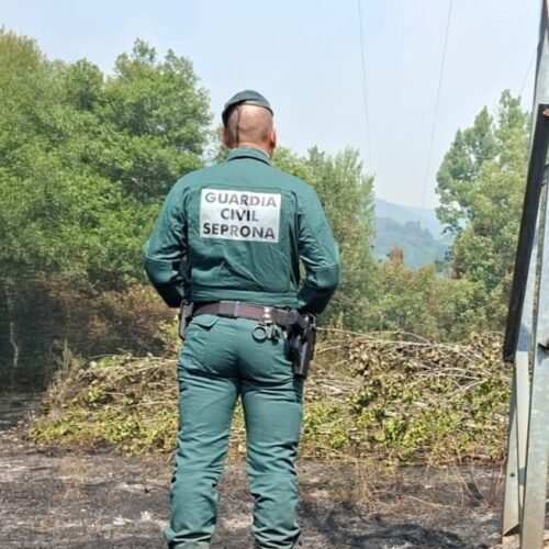 Una mujer de 57 años, en prisión por provocar un incendio forestal que arrasó dos hectáreas en León