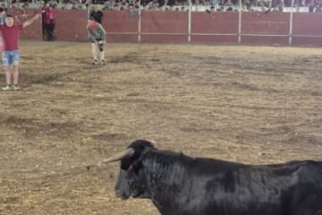 Lío en los cortes de Tudela: los cortadores se plantan por las condiciones de los toros y no se celebra la final