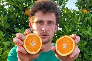 Marc, 24 años, agricultor en un pueblo de España: «A los 19 me compré dos campos con mis ahorros, sin invertir»