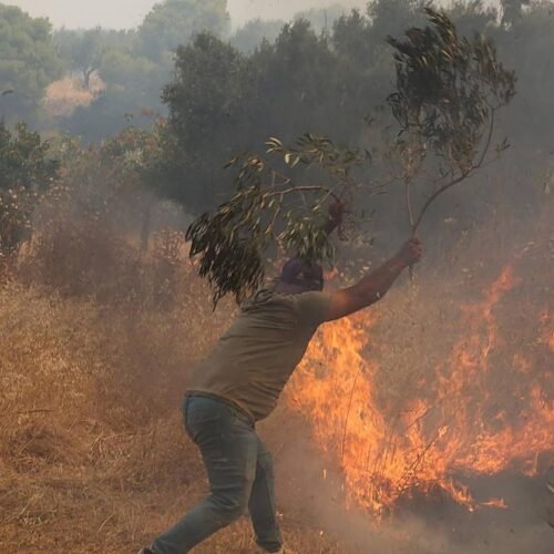 Los incendios de Grecia se intensifican y se acercan cada vez más hacia Atenas